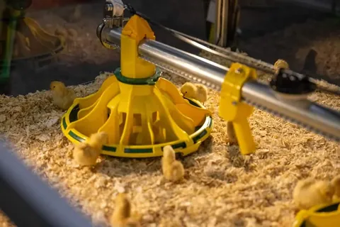 Poultry equipment demonstration at IPPE 2026